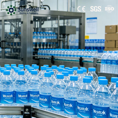Full Automatic 24000 BPH 500ml PET Bottle Mineral Water Production Line